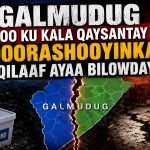 Ciidamada Danab iyo Jubaland oo Hawlgal ka Fuliyey Harboole iyo Biibi.