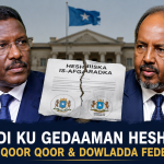 Wasiirka Gaashaandhigga Soomaaliya oo UN iyo UNICEF kala hadlay ilaalinta carruurta.