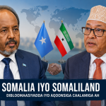 Xisbiga Towfiiq oo dacwad ka dhan ah Guddiga Doorashooyinka u gudbinaya Maxkamadda Sare.
