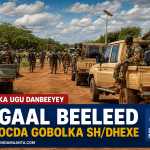 Puntland oo Mar kale la wareegtay Xerada PSF ee Boosaaso.